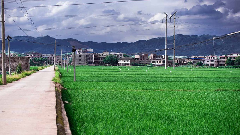 梅州市内蒙古乡村沃畉农业服务购入…